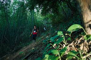 BIB: 
                            <button type="button" onclick="openModal(28124561)" class="btn btn-primary btn-sm float-right btn-popup" data-toggle="modal" data-target=".modal-high-quality">
                        <i class="fas fa-shopping-cart"></i> Add to Cart
                    </button>
                                            <button type="button" onclick="isThisMe(28124561, true)" class="btn btn-success btn-sm float-right btn-popup btn-isme hidden" data-toggle="tooltip" data-placement="bottom" title="นี่คือรูปของคุณใช่ไหม คลิกที่นี่เพื่อเอาเข้าอัลบั้ม">
                        <i class="fas fa-plus"></i> Add to album
                    </button>
                    <button type="button" onclick="isThisMe(28124561, false)" class="btn btn-warning btn-sm float-right btn-popup btn-isnotme hidden">
                        <i class="fas fa-ban"></i> Remove from album
                    </button>